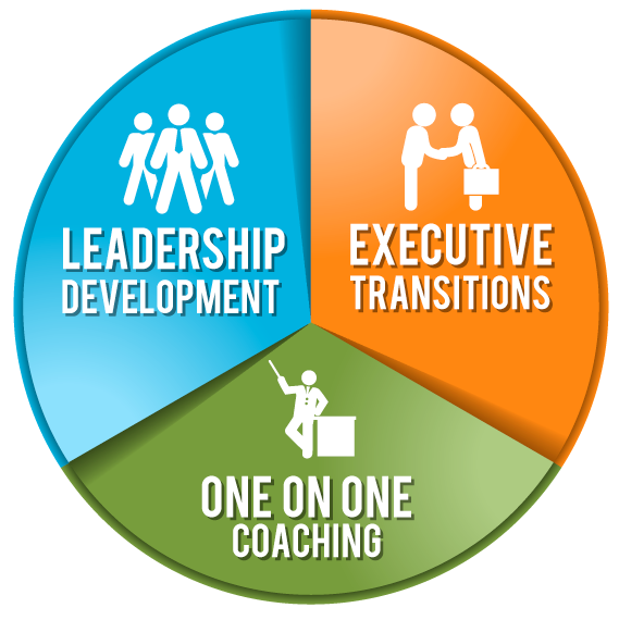 Corporate Executive Coaching Program