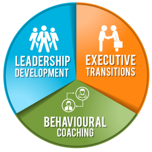 corporate-and-executive-coaching-programme