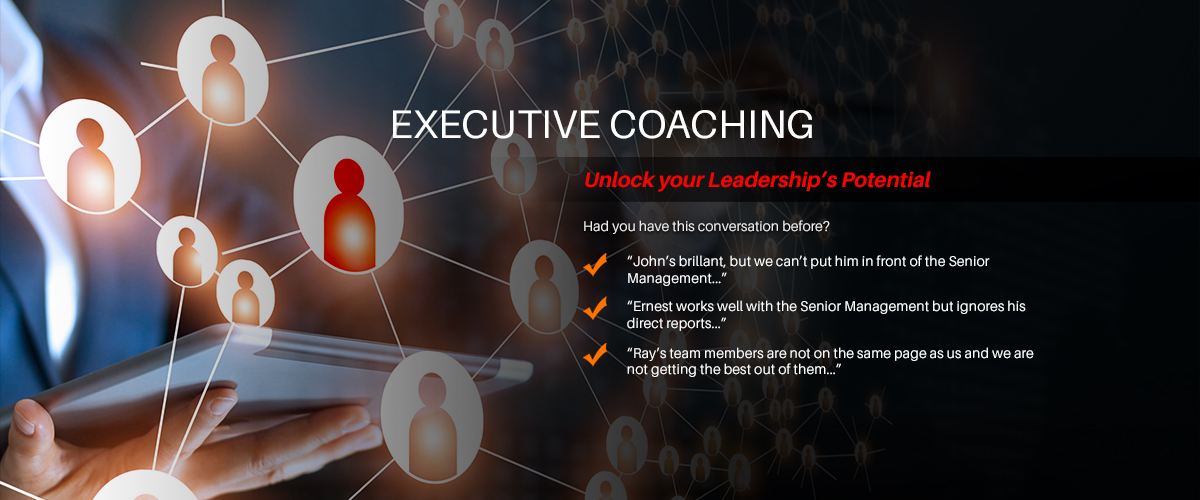 Executive Search and Coaching